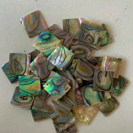 abalone inlay 10mm x 10mm kulit kerang abalone sheashell