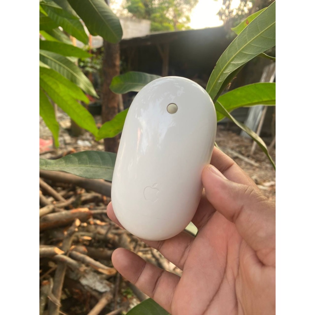 Apple Wireless Mighty Mouse