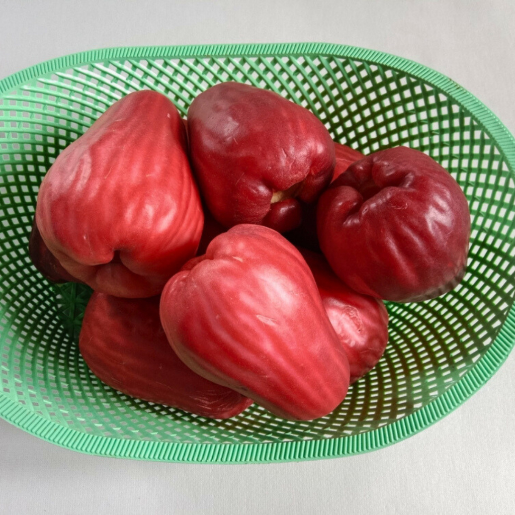 

Buah Jambu Bol Merah Jamaika Manis 1 Pack