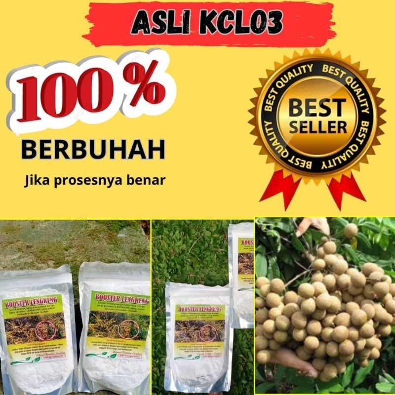PROMO Booster Lengkeng 1kg