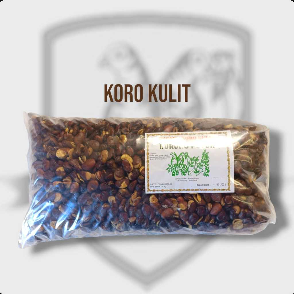 

KACANG KORO KULIT KACANG TOBA 1 KG PALING MURAH PALING ENAK GURIH ASIN