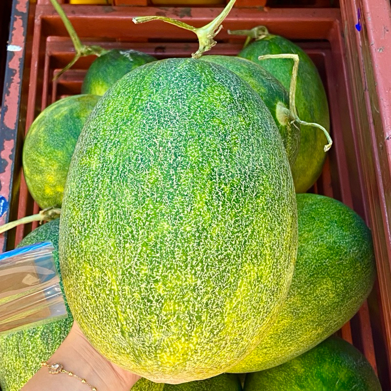 

Premium Melon Hami Gua Per Pcs -+ 1,1 kg