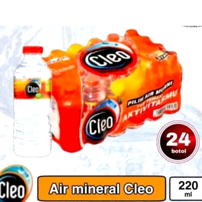 

Air Mineral Cleo 220ml 1 Krat / Cleo Botol Mini / Cleo Mini 220ml x 24 pcs 1 Dus