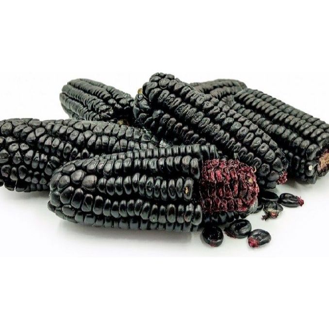 Jagung Ketan Hitam /Jagung Pulut benih kemasan 50 biji