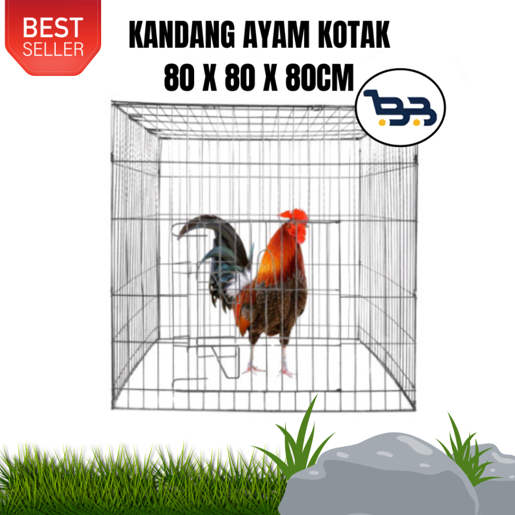 Kandang Ayam Kotak Galvanis 80 x 80 x 80 CM