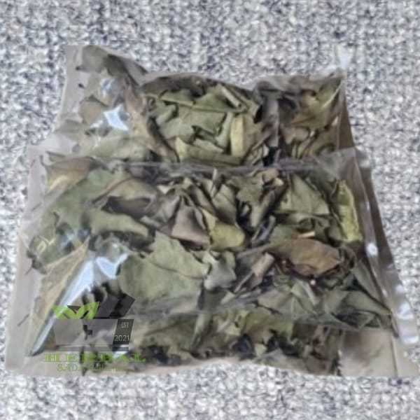 

Teh Benalu Kering Dari Pohon Jeruk Nipis 100 gram