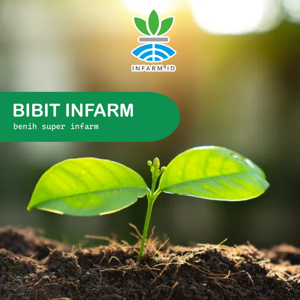 Infarm - Berbagai Jenis Bibit dari Infarm ( Beetroot Oval , Kangkung , Labu Madu , Mix Seeds , Okra 