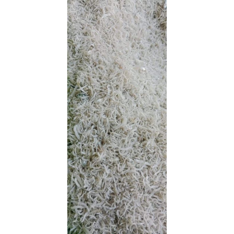 

Teri Medan/Teri Nasi/Teri super 500 gram
