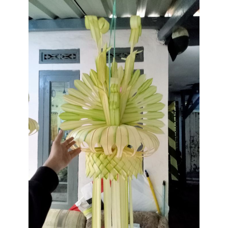 Janur kuning Pernikahan/Khitanan asli segar CIMAHI BDG PADALARANG