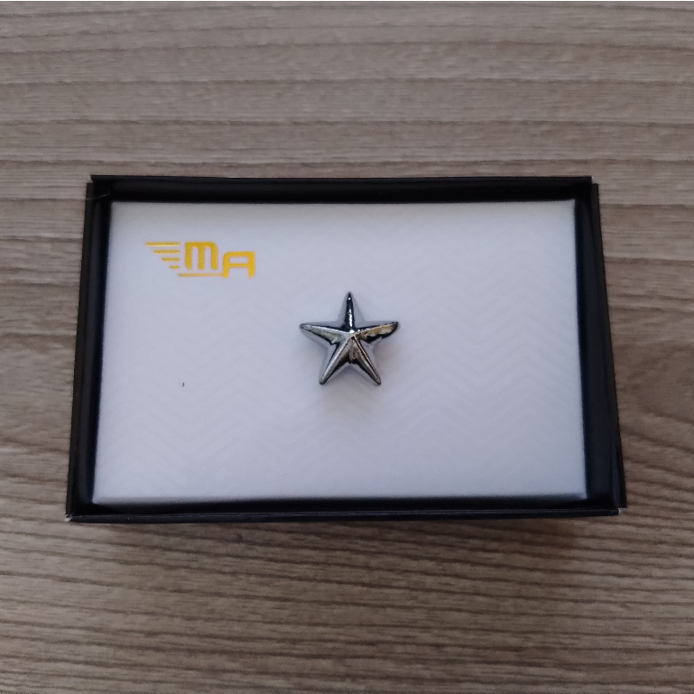 PIN BINTANG 1 3 BREVET BRIVET PIN BINTANG BARET SILVER CHROME PIN