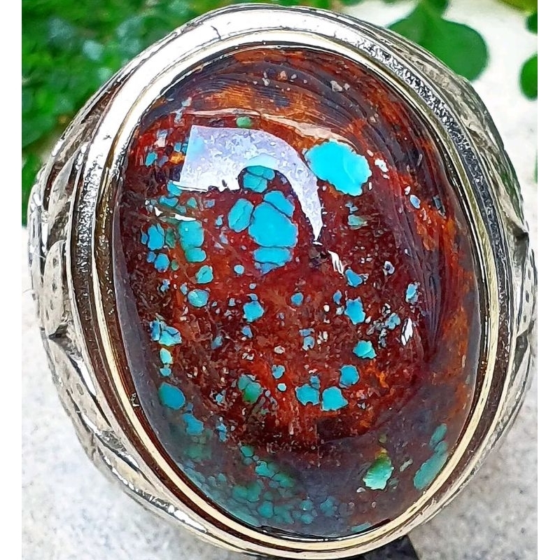 pirus persia urat merah