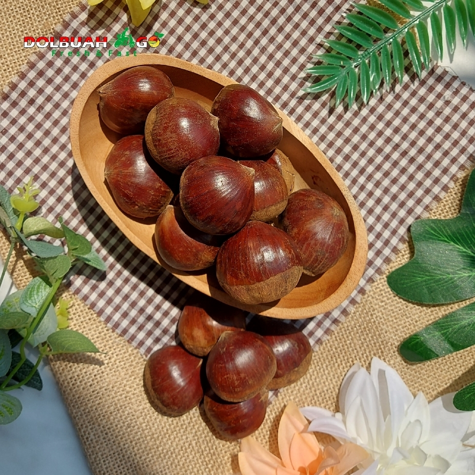 

Kacang Chesnut / kacang kastanye MENTAH semarang - Dolbuahgo