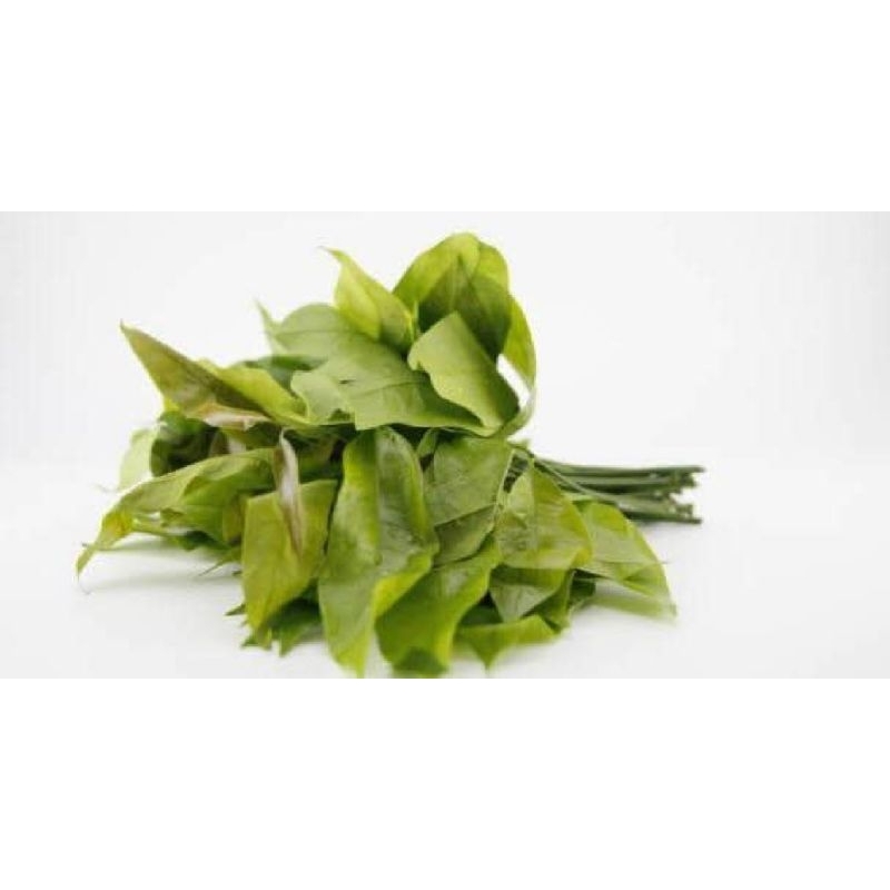 

DAUN MELINJO MUDA /1kg