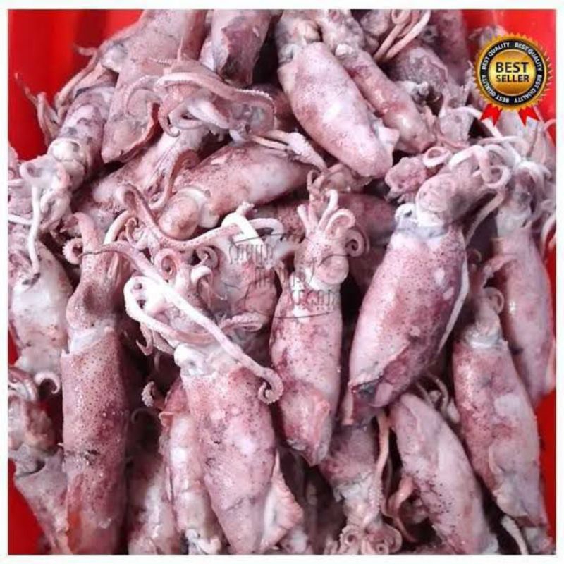 

sotong kering