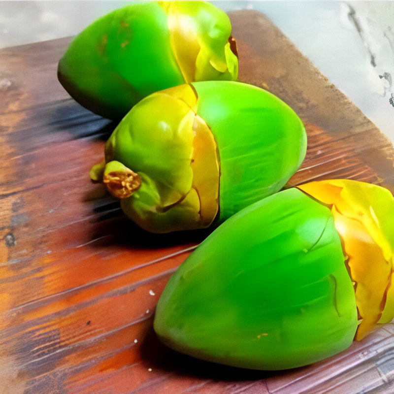 

(HIJAU SUPERAN) buah kelapa muda kecil bluluk kelapa segar bruluk beluluk tembuluk pentil kelapa herbal segar...