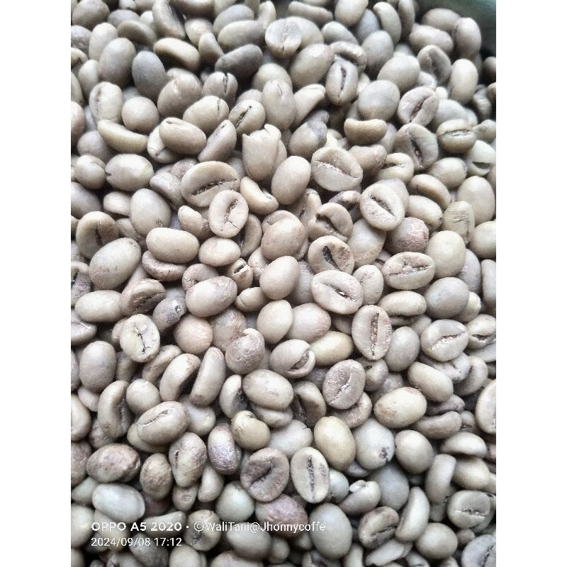 

Kopi Robusta Grosir 5Kg
