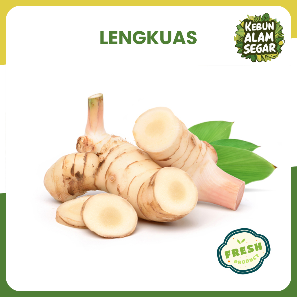 

LENGKUAS SEGAR 100gr Langsung dari kebun