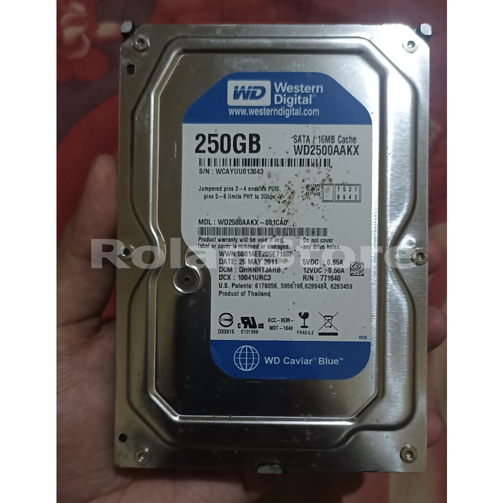 Harddisk Internal Western Digital SATA 250GB (Rusak)