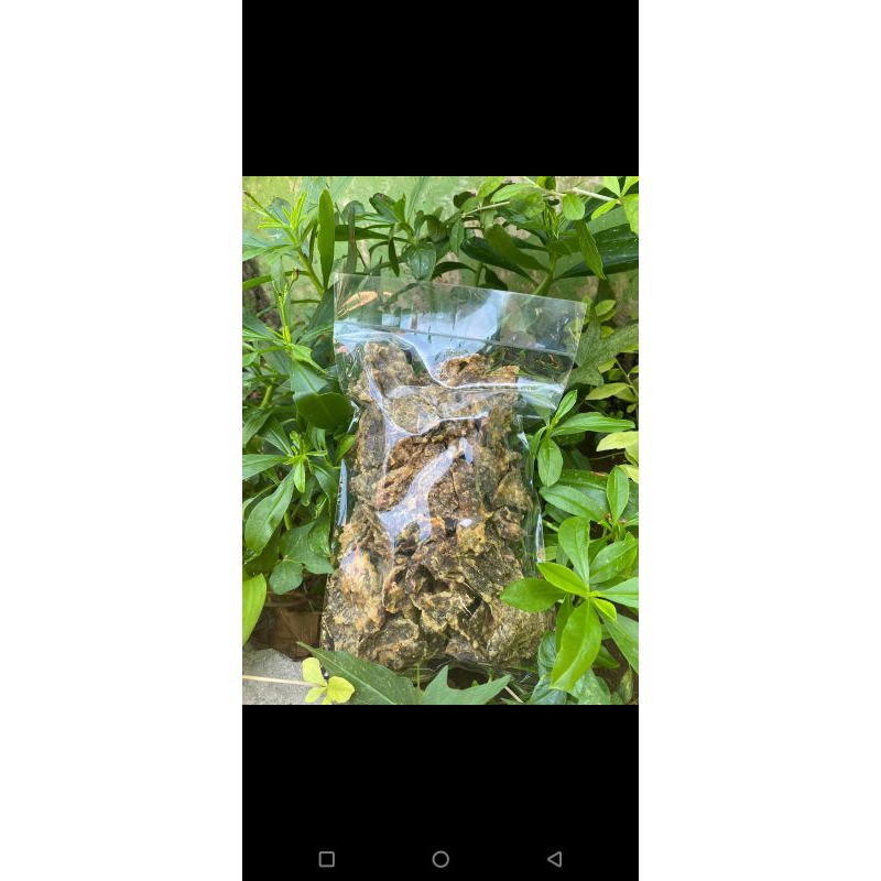 

Kripik Paru kemasan 70gr