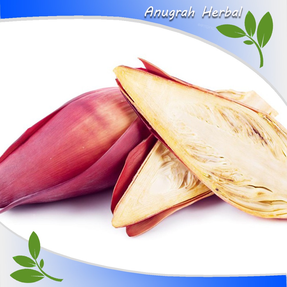 

Jantung Pisang 1kg segar - Sayur Lezat Alami