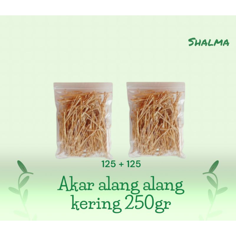 

akar alang alang kering