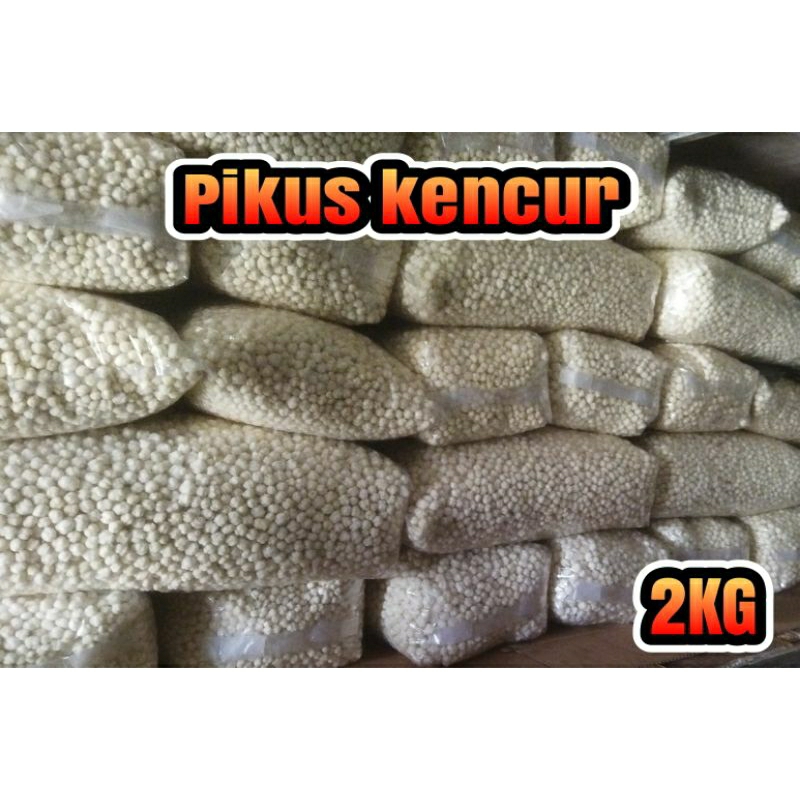 

Termurah pilus cikur 2 kg cocok untuk baso aci, seblak, cemilan