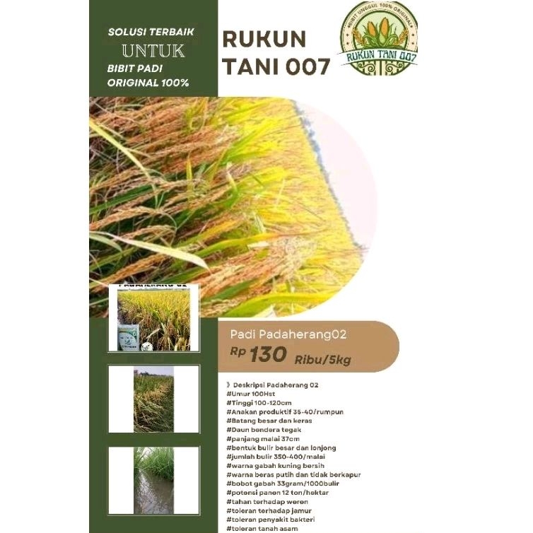Padi Padaherang 02 kemasan 5kg