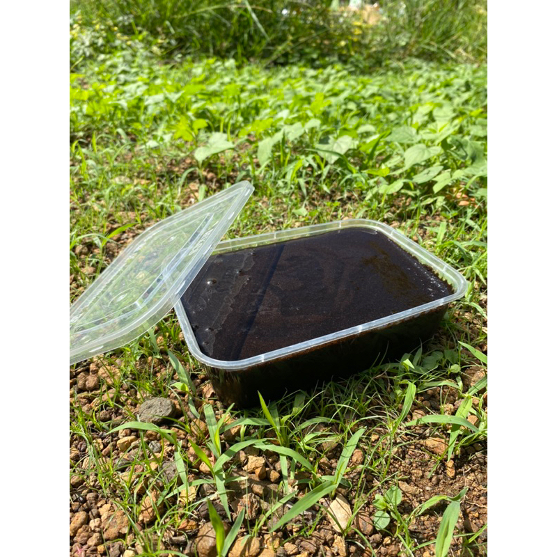 Bedda Lotong  Bugis Malebbi (BPOM) 650Ml