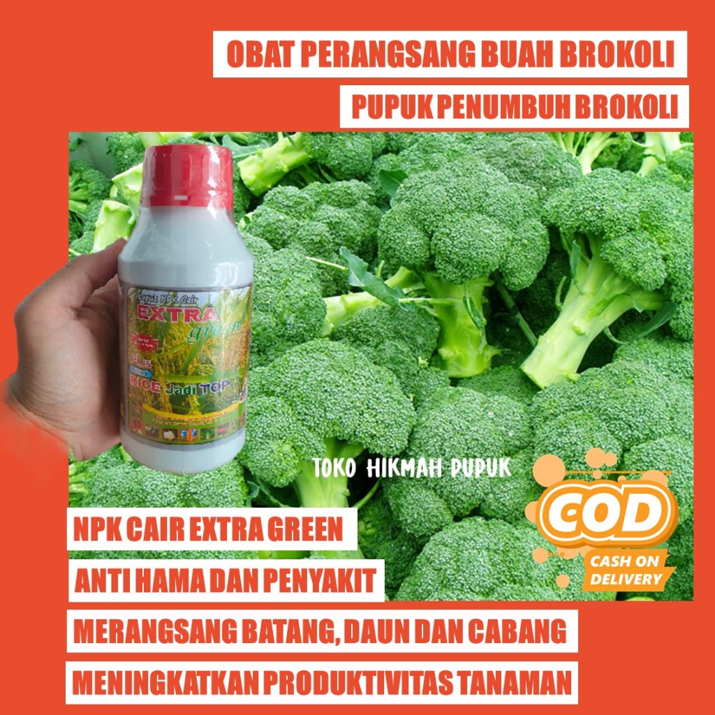 EXTRA GREEN Merangsang munculnya bunga BROKOLI, Brokoli Putih, Brokoli Hijau/Brokoli Hidroponik buah