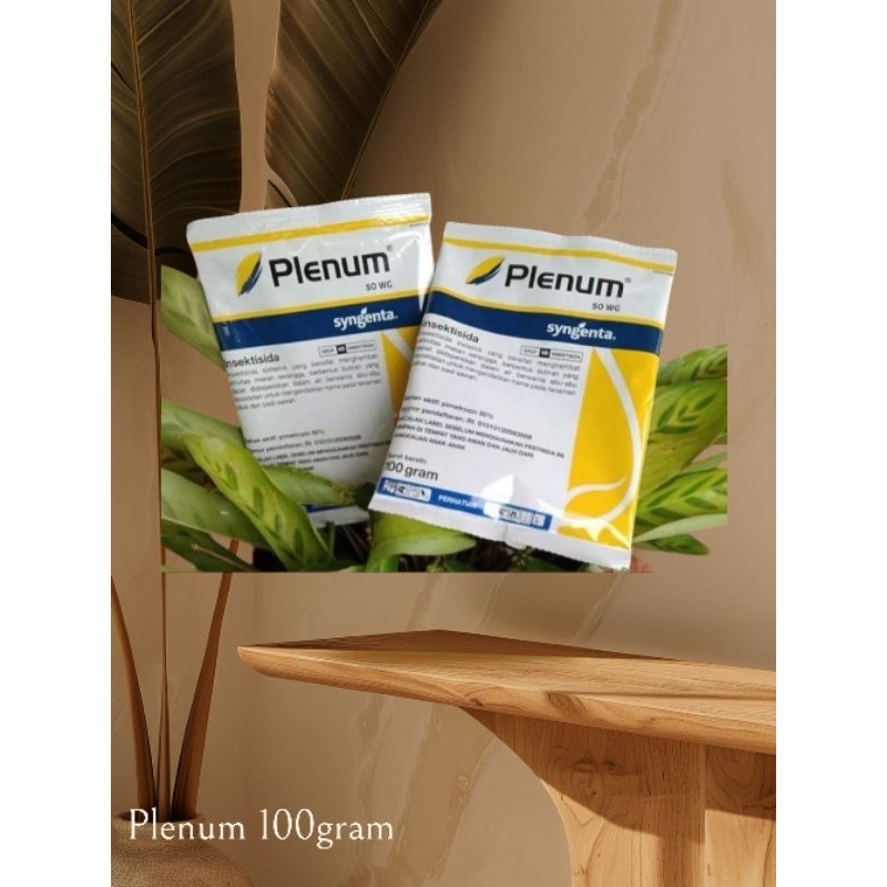 plenum 100gram