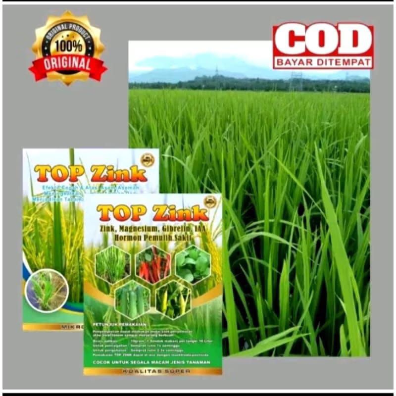 100%ORI Pupuk TOP ZINK 150gram Manfaat Untuk Perbanyak Anakan Padi & Mengobati Asem Aseman | Obat se