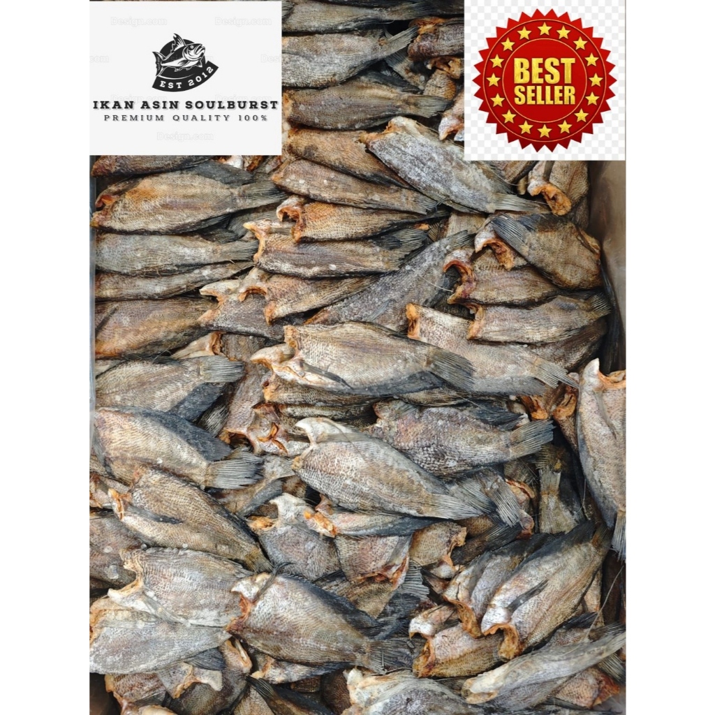 

Ikan Asin Sepat Siam Potong Kepala 500 Gram