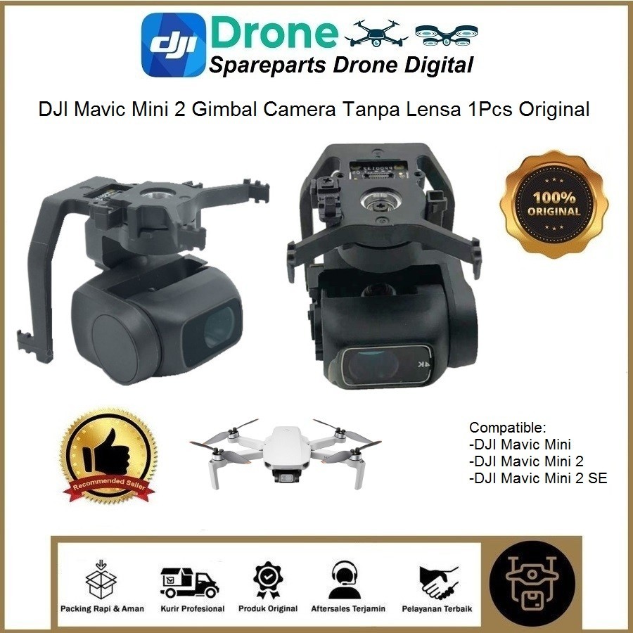 DJI Mavic Mini 2 Gimbal Camera Tanpa Lensa Original Mavic Mini 2 SE/Mini1/2 Kamera Gimbal