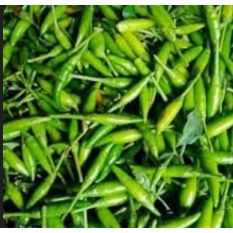 

cabe capalk .cabe ijo raiwit rawit/ lalap gorengan