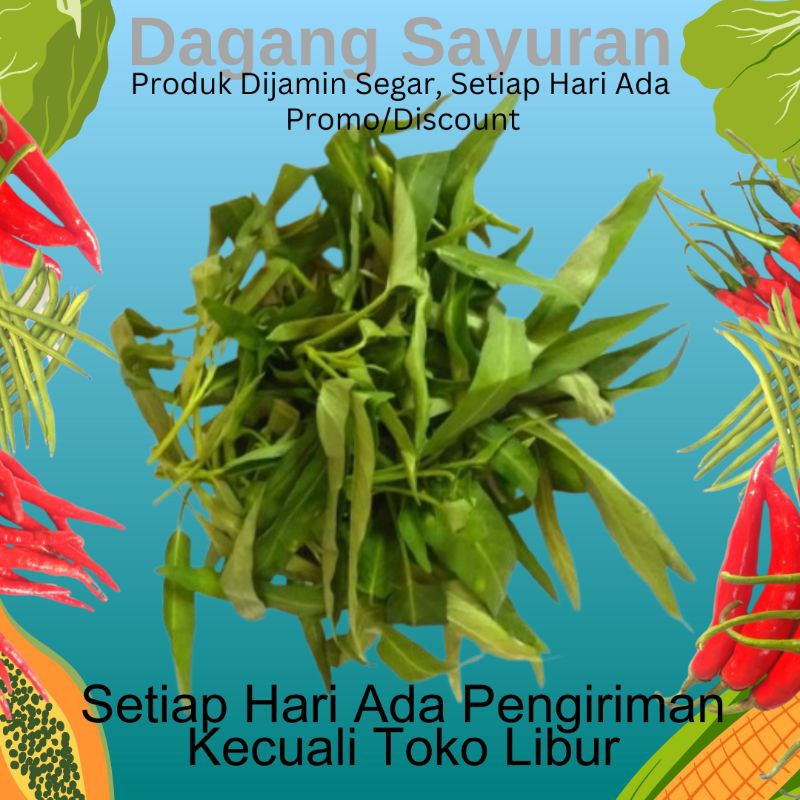 

SAYUR KANGKUNG POTONG SEGAR | SOLUSI SIMPEL DALAM MEMASAK | LANGSUNG DARI PETANI PERBUNGKUS