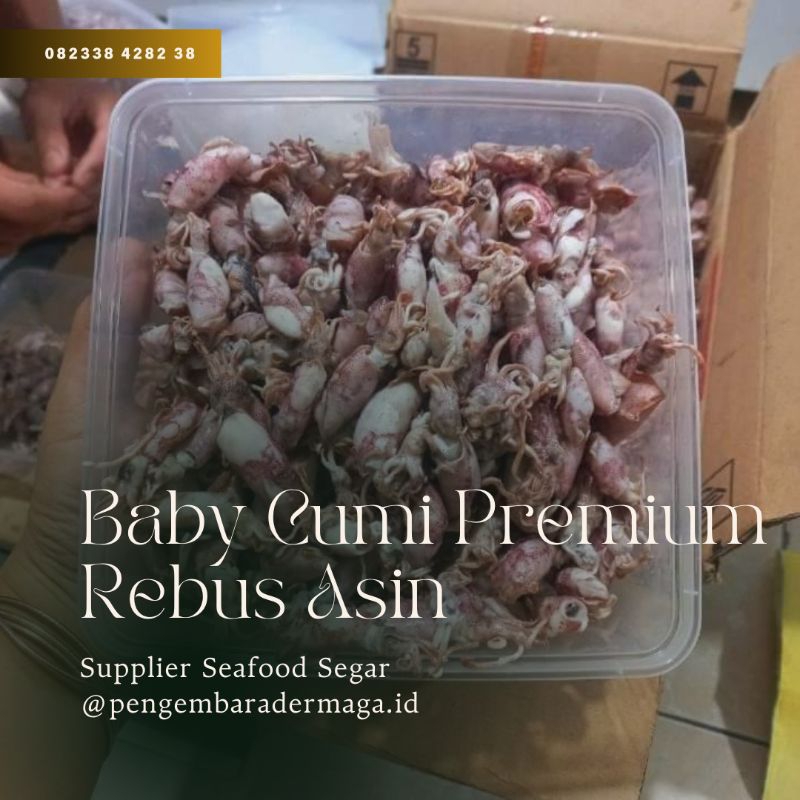 

(100gr) REAL!!! Baby Cumi Rebus Asin Bertelur Premium