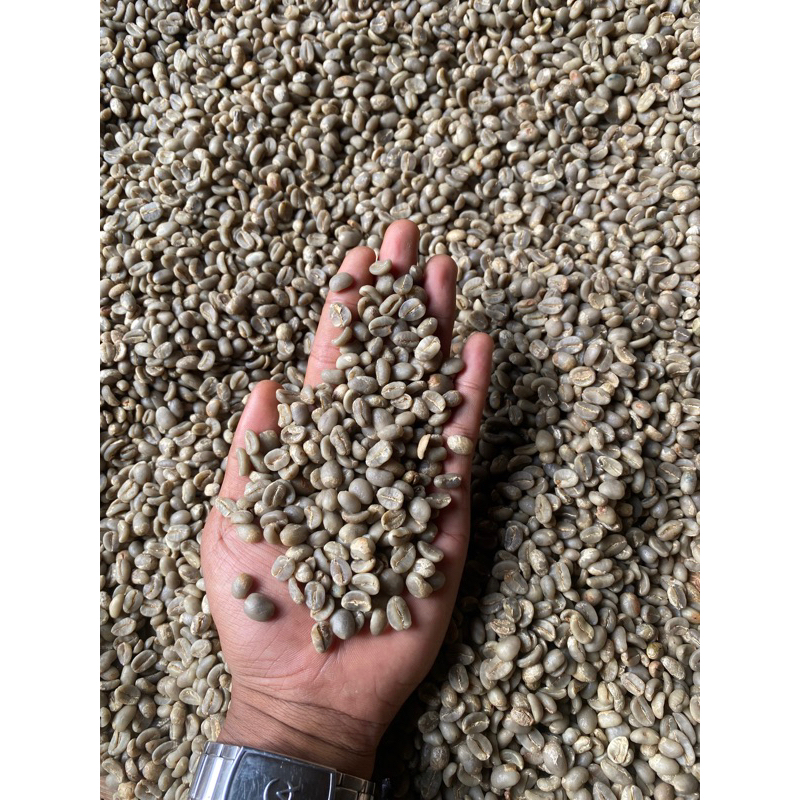 

arabica proses semiwash terbaik solok selatan