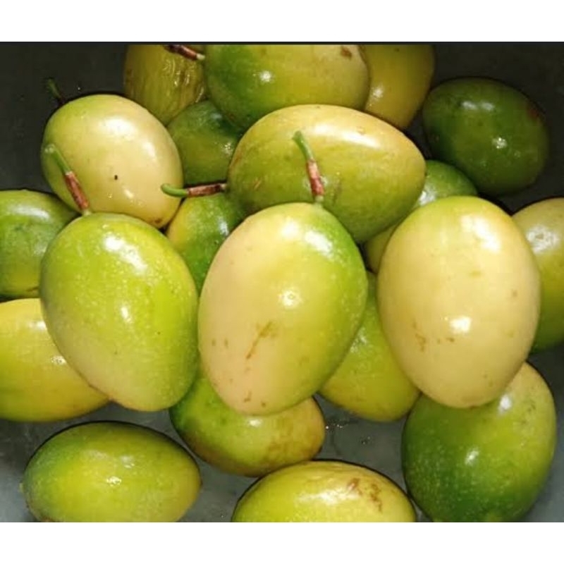 

buah markisa / saprola 500 gram