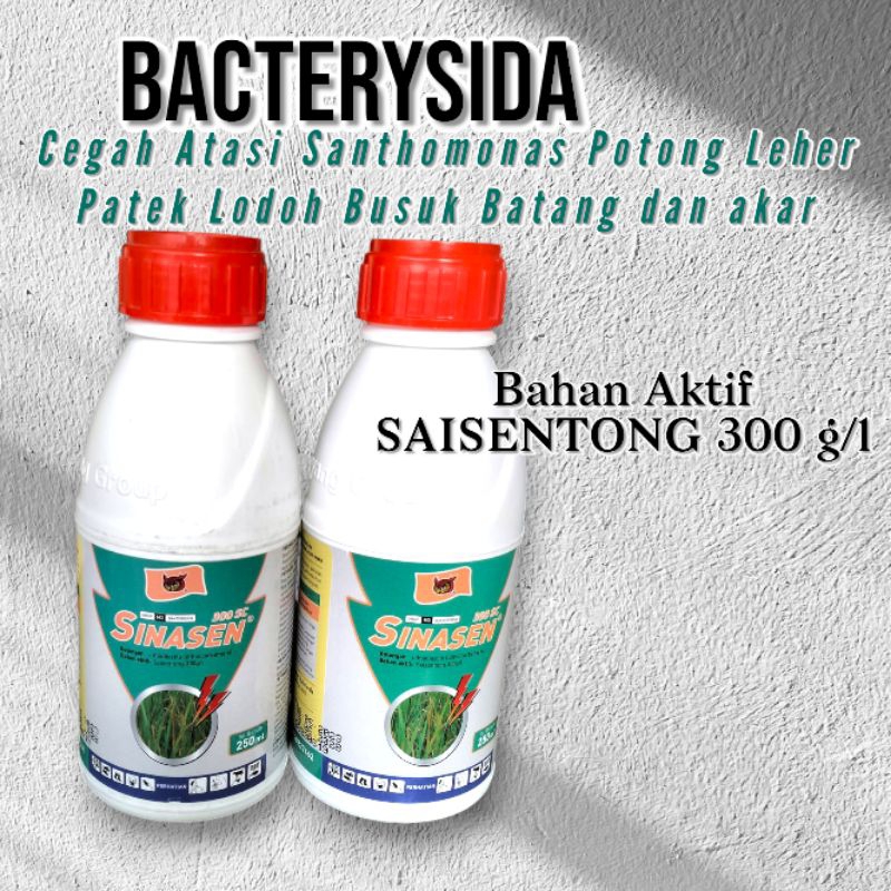 SINASEN 300 EC Seisentong 250 ml - Cegah Atasi Xanthomonas, Potong keher, Patek, dan Lodoh Busuk Bat