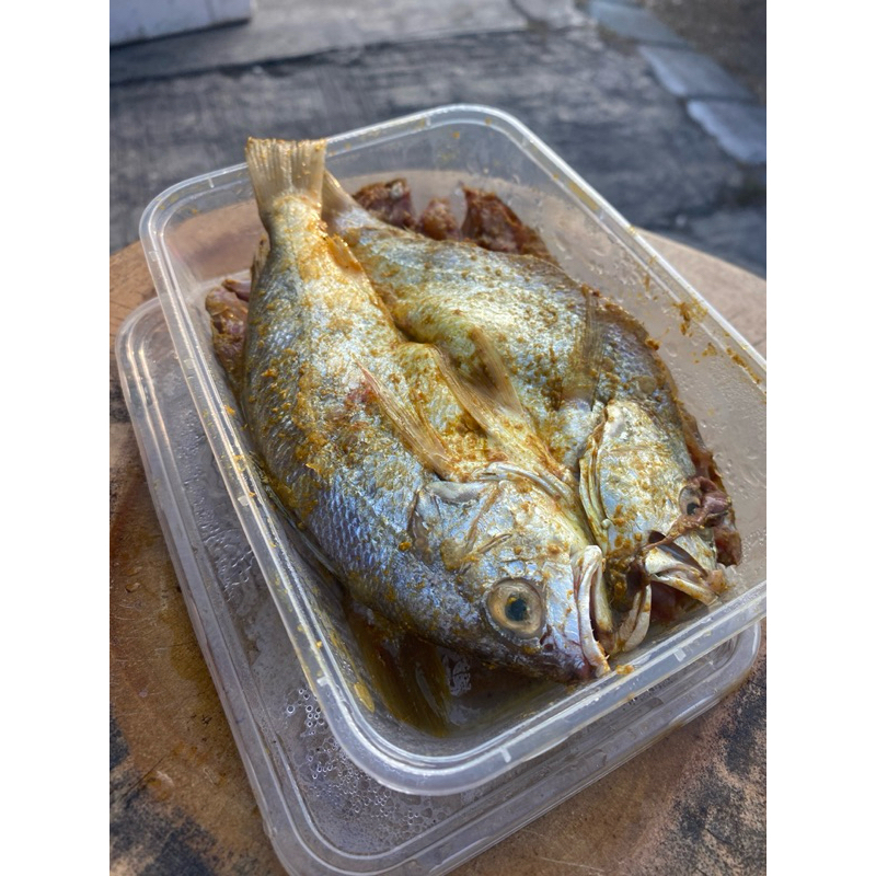 

IKAN MARINASI TINGGAL GORENG (MURAH)