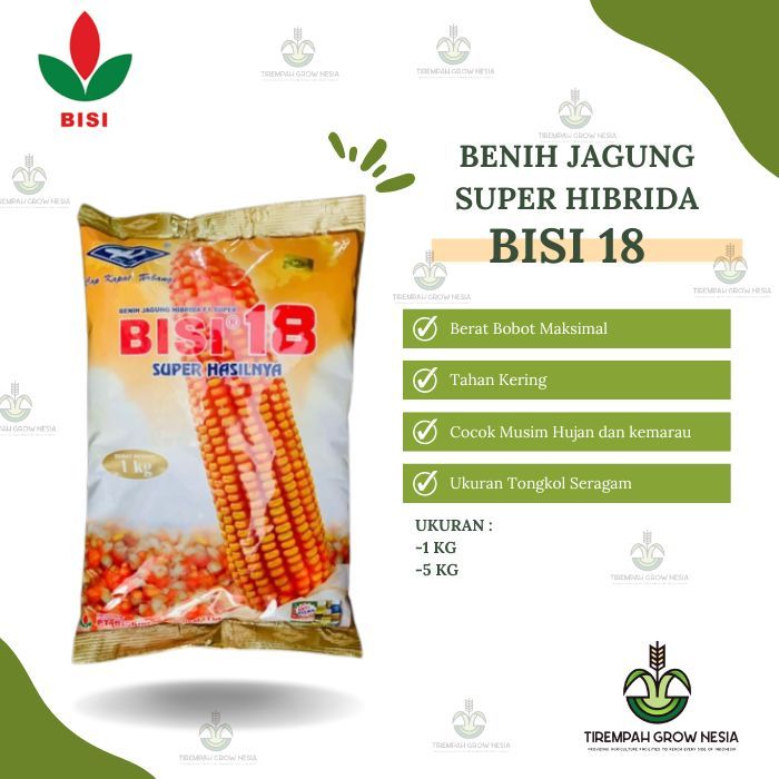 BENIH JAGUNG BISI 18 BENIH JAGUNG HIBRIDA BENIH JAGUNG MURAH BISI - 18 JAGUNG HIBRIDA CAP KAPAL TERB