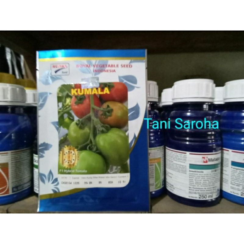 BIBIT BENIH TOMAT KUMALA F1.. 10 GR ROYAL SEED
