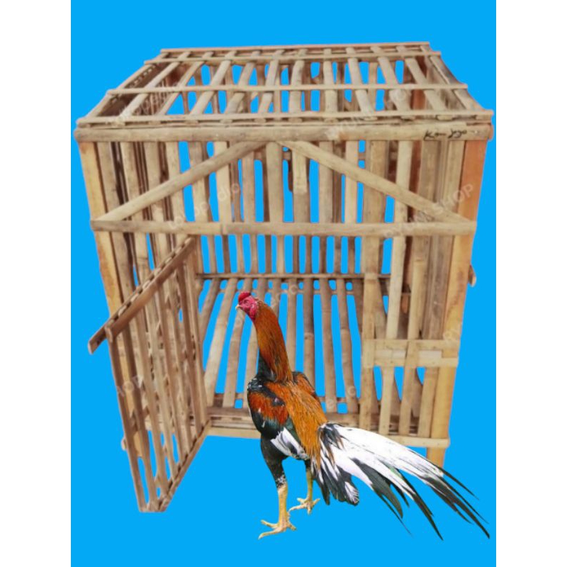 kandang ayam rakit/kandang bambu