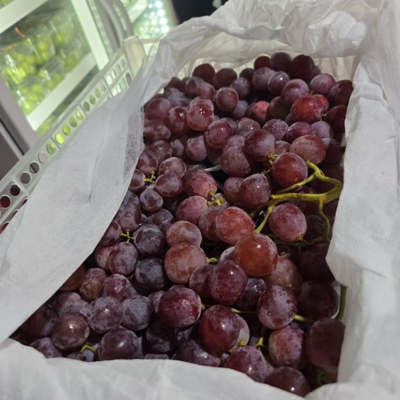 

Anggur Merah Ada Biji 1kg