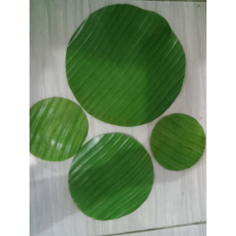 

DAUN PISANG BULAT FRESH 10-15-20-25cm