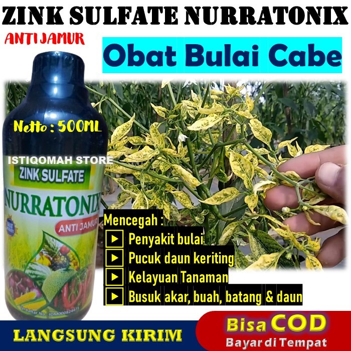 PROMO COD Pupuk Obat Bulai Pada Tanaman Cabe ZINK NURRATONIX 500ML Pupuk Pencegah Penyakit Bulai Cab