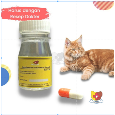Suplemen Urinary Kucing