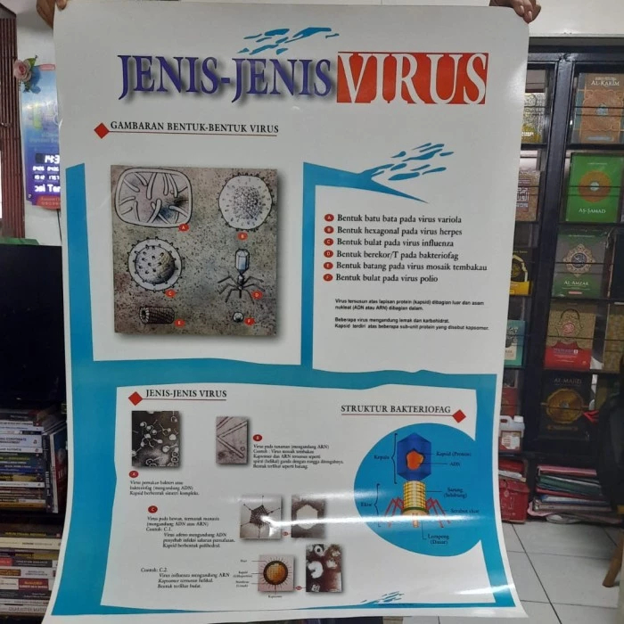 CHARTA JENIS JENIS VIRUS, POSTER JENIS JENIS VIRUS