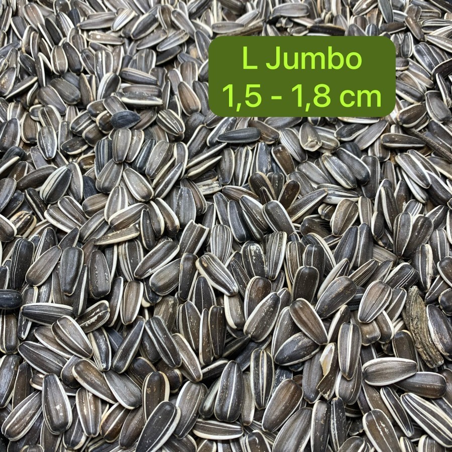 Kuaci Besar L 1 kg Jumbo Vita Pet Kwaci Hamster Burung Parrot Sun Conure IRN AFGREY PARROT