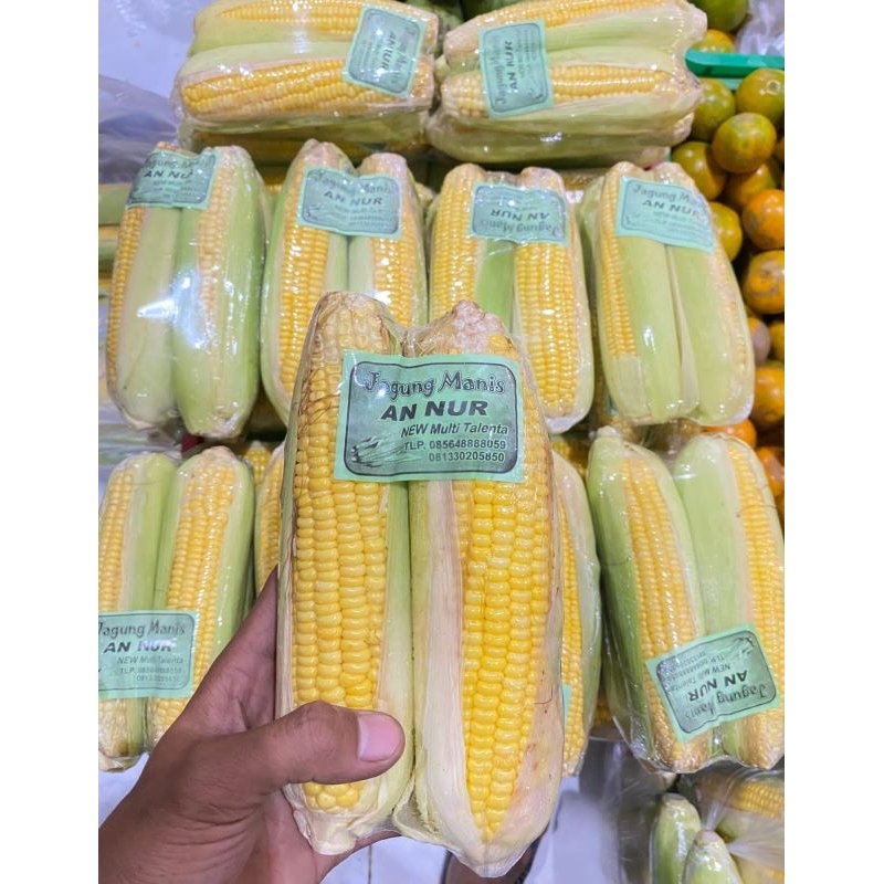 

jagung manis/2bj